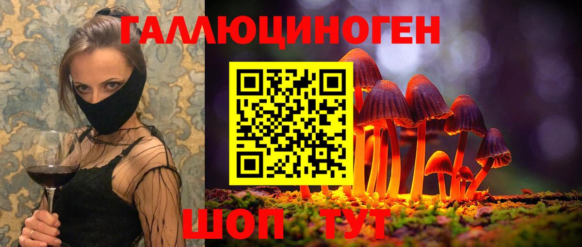 Южно-Сахалинск  Галлюциногенные грибы Psilocybine cubensis  Псилоцибиновые грибы Psilocybine cubensis  Вход с VPN 